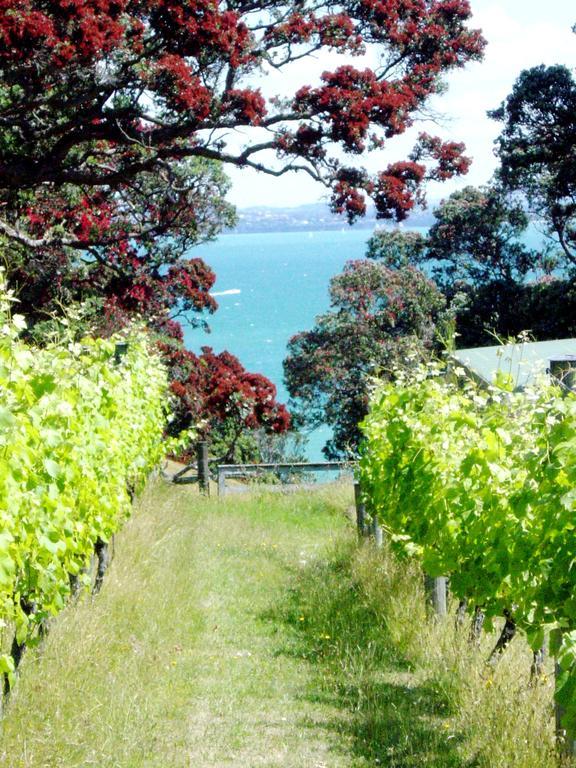Waiheke Island Vineyard Holiday Houses Surfdale Exterior foto